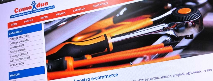 Sviluppo ecommerce B2B Camosciando Due