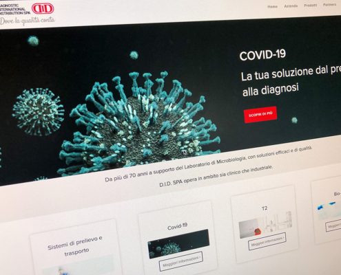 Realizzazione sito web D.I.D.