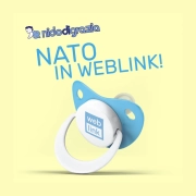 i migliori ecommerce italiani