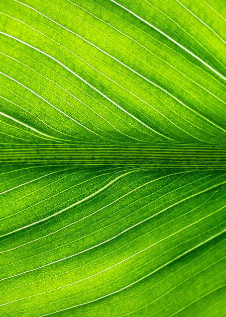 Greencode